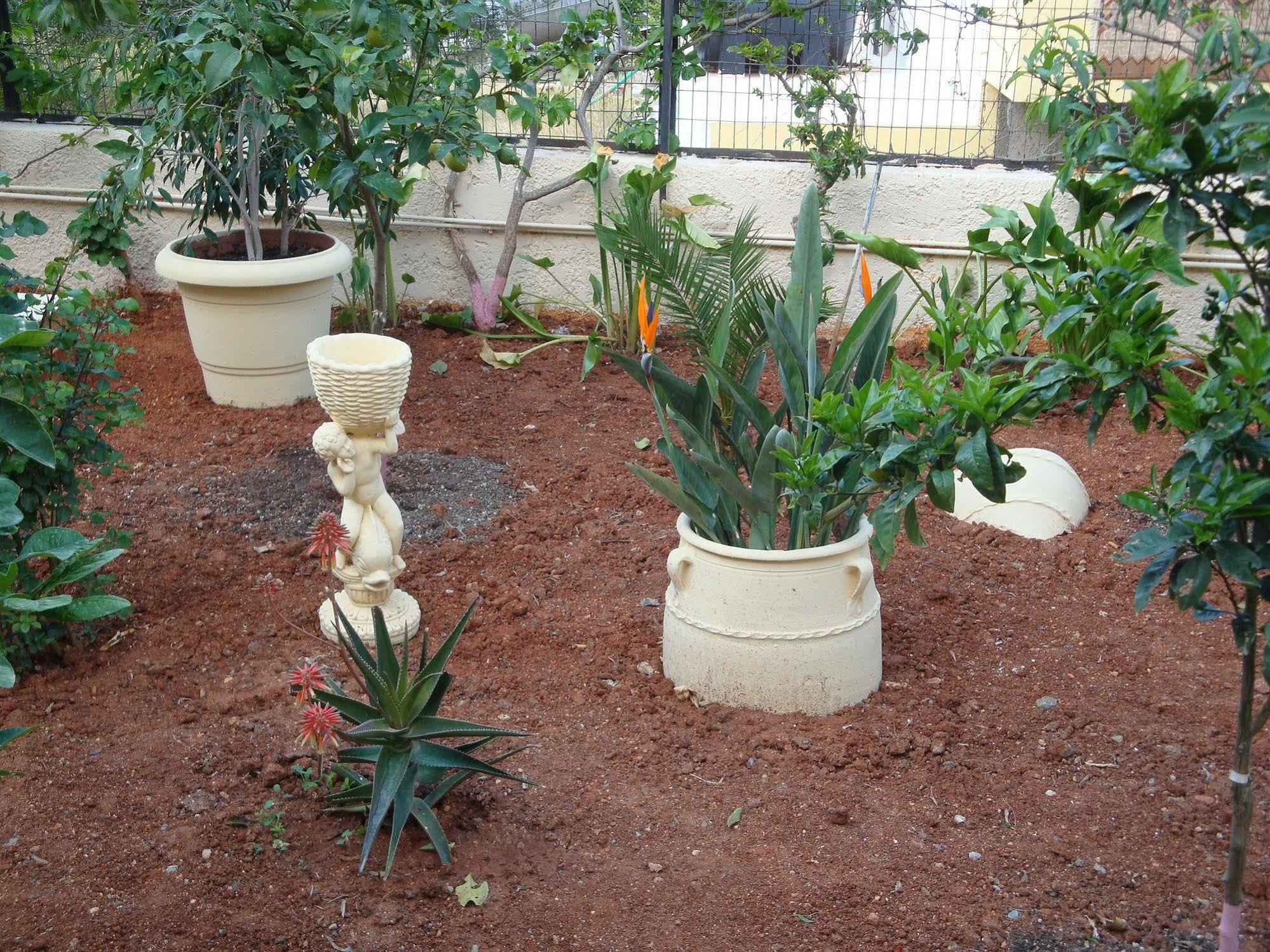 Maria Flora Apartments Creta Exterior foto